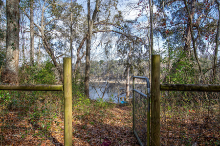 Suwannee River Retreat | 3 Acres with Scenic Water Views - image 5