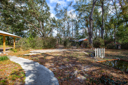 Suwannee River Retreat | 3 Acres with Scenic Water Views - image 11