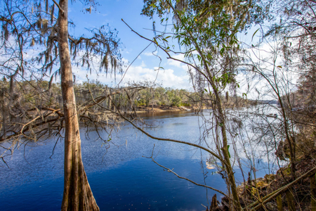 Suwannee River Retreat | 3 Acres with Scenic Water Views - image 4