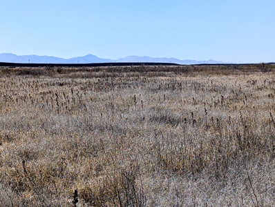 Land for Sale in Deming New Mexico - image 4