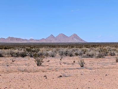 Land for Sale in Deming New Mexico - image 1