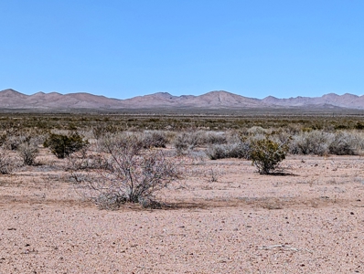 Land for Sale in Deming New Mexico - image 2