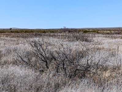 Land for Sale in Deming New Mexico - image 3