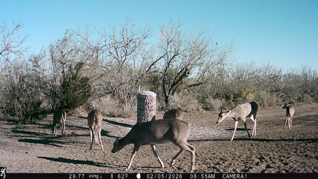 150 Acre, South Texas Turnkey Ranch - image 19