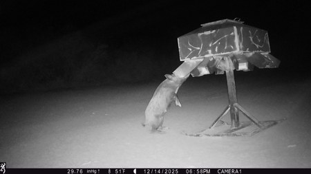 150 Acre, South Texas Turnkey Ranch - image 6