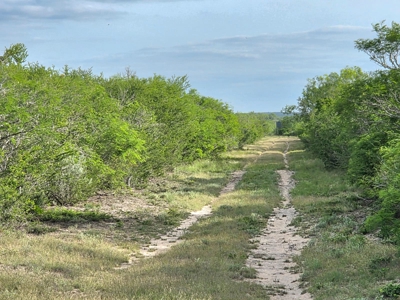 150 Acre, South Texas Turnkey Ranch - image 12