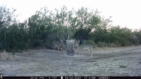 150 Acre, South Texas Turnkey Ranch - image 14