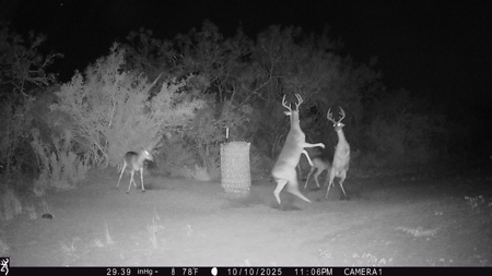 150 Acre, South Texas Turnkey Ranch - image 1