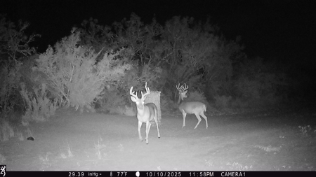 150 Acre, South Texas Turnkey Ranch - image 16