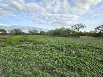 150 Acre, South Texas Turnkey Ranch - image 22