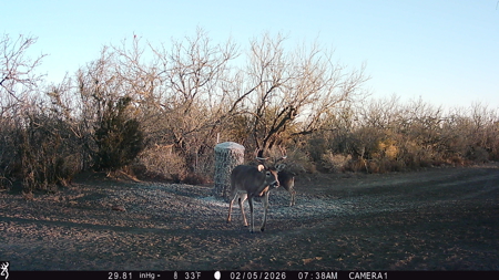 150 Acre, South Texas Turnkey Ranch - image 18