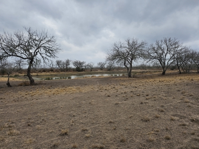 150 Acre, South Texas Turnkey Ranch - image 26