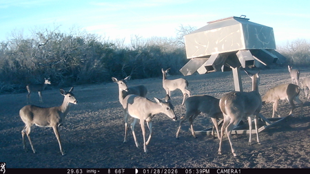 150 Acre, South Texas Turnkey Ranch - image 20