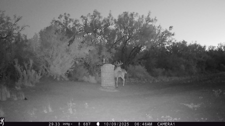 150 Acre, South Texas Turnkey Ranch - image 15