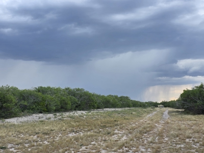 150 Acre, South Texas Turnkey Ranch - image 8