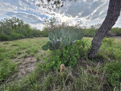 150 Acre, South Texas Turnkey Ranch - image 32