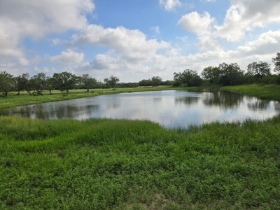 150 Acre, South Texas Turnkey Ranch - image 9