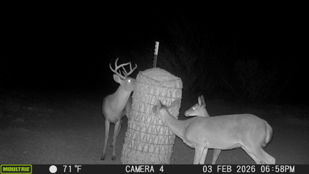 150 Acre, South Texas Turnkey Ranch - image 17