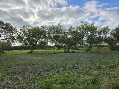 150 Acre, South Texas Turnkey Ranch - image 19