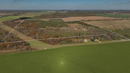 89.22-Acre Turnkey Whitetail Hunting Property in Adams County, Wi - image 5