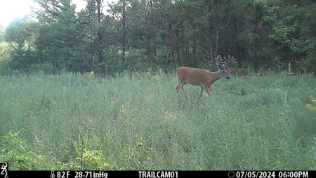 89.22-Acre Turnkey Whitetail Hunting Property in Adams County, Wi - image 2
