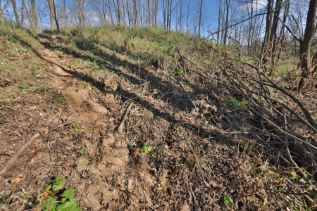 89.22-Acre Turnkey Whitetail Hunting Property in Adams County, Wi - image 40