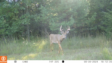 89.22-Acre Turnkey Whitetail Hunting Property in Adams County, Wi - image 3
