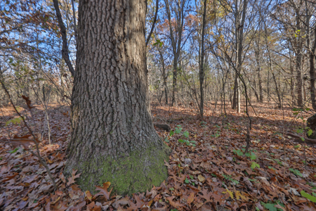 89.22-Acre Turnkey Whitetail Hunting Property in Adams County, Wi - image 42