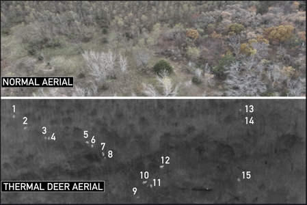 89.22-Acre Turnkey Whitetail Hunting Property in Adams County, Wi - image 34