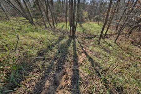 89.22-Acre Turnkey Whitetail Hunting Property in Adams County, Wi - image 39