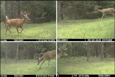 89.22-Acre Turnkey Whitetail Hunting Property in Adams County, Wi - image 33