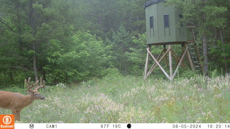89.22-Acre Turnkey Whitetail Hunting Property in Adams County, Wi - image 36