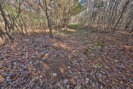 89.22-Acre Turnkey Whitetail Hunting Property in Adams County, Wi - image 41