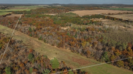 89.22-Acre Turnkey Whitetail Hunting Property in Adams County, Wi - image 38