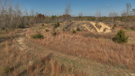 89.22-Acre Turnkey Whitetail Hunting Property in Adams County, Wi - image 10