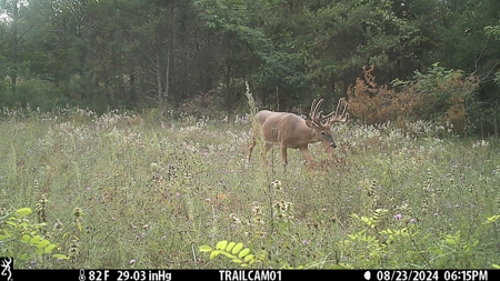 89.22-Acre Turnkey Whitetail Hunting Property in Adams County, Wi - image 43