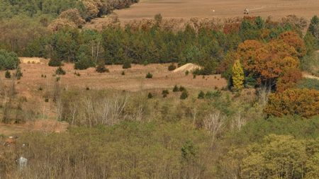89.22-Acre Turnkey Whitetail Hunting Property in Adams County, Wi - image 37