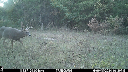 89.22-Acre Turnkey Whitetail Hunting Property in Adams County, Wi - image 4