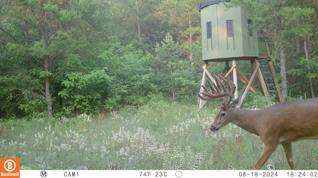 89.22-Acre Turnkey Whitetail Hunting Property in Adams County, Wi - image 1