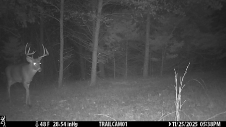 89.22-Acre Turnkey Whitetail Hunting Property in Adams County, Wi - image 35
