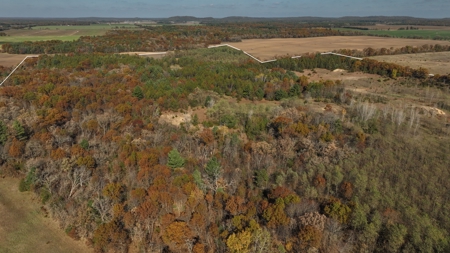 89.22-Acre Turnkey Whitetail Hunting Property in Adams County, Wi - image 45