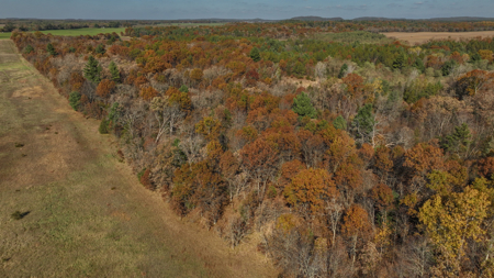 89.22-Acre Turnkey Whitetail Hunting Property in Adams County, Wi - image 44