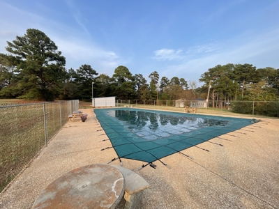 Lake Palestine Double lot for sale - image 1