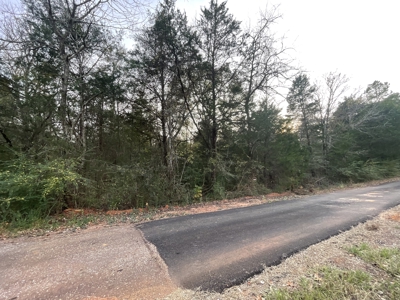 Lake Palestine Double lot for sale - image 9
