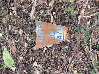 Lake Palestine Double lot for sale - image 8