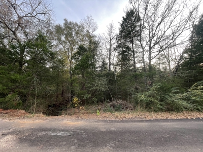 Lake Palestine Double lot for sale - image 10
