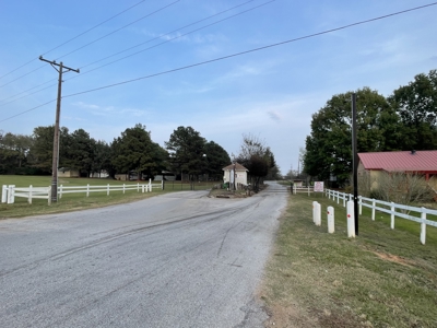 Lake Palestine Double lot for sale - image 3