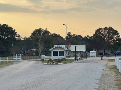 Lake Palestine Double lot for sale - image 4