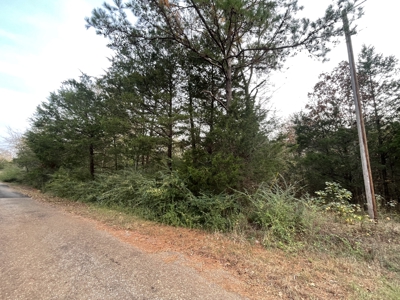 Lake Palestine Double lot for sale - image 11