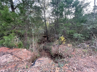 Lake Palestine Double lot for sale - image 13